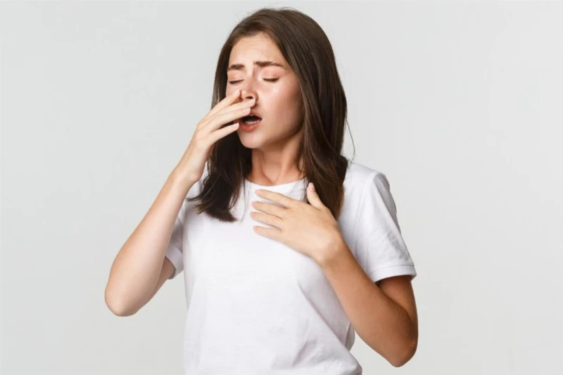 لماذا نعطس عند شم التوابل الحارة؟ لن تتخيل الإجابة لايف ستايل 03:01 م الخميس 05 سبتمبر 2024 كتبت- أسماء العمدة: الدكتور محمد الزغبي يقول، العطس رد فعل طبيعي لجسمنا لحماية نفسه من ا