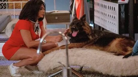 مصر.. رانيا يوسف تخرج عن صمتها وتعلق على أزمة فيلم التاروت تعرف على التالي مصر.. رانيا يوسف تخرج عن صمتها وتعلق على أزمة فيلم التاروت، وهاجمت منتقدي الفيلم خلال مداخلة هاتفية مع ال