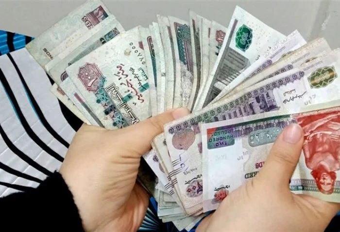 بعد طول الانتظار، زيادة 1700 جنيه في مرتبات الموظفين بهذه الجهات رسميا أعلن الدكتور أيمن بهاء الدين، نائب وزير التربية والتعليم، عن قرار مجلس الوزراء