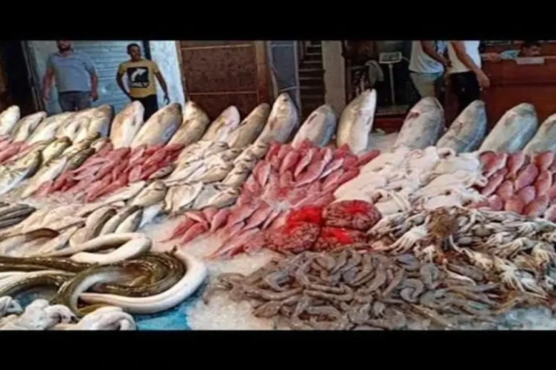 تراجع الجمبري.. أسعار السمك اليوم الأربعاء في سوق العبور وبحسب بيانات الموقع الرسمي للسوق، تراجعت أسعار المعكرونة السويسرية والحبار والكاليماري والجمبري الصغير بسوق العبور خلال تعا
