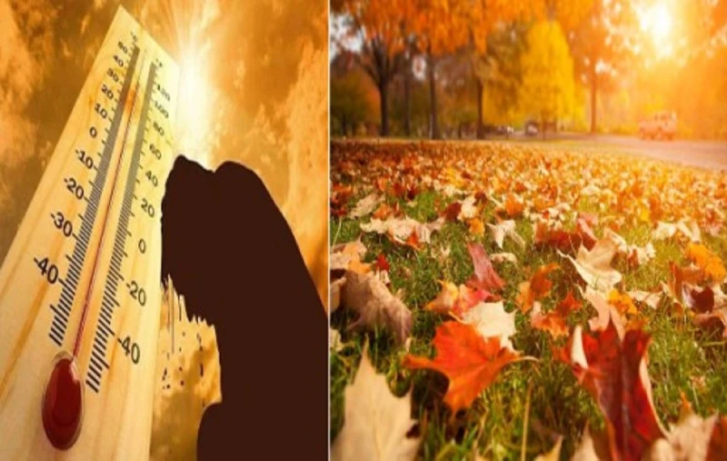 الأرصاد الجوية توجه تحذير شديد اللهجة بشأن طقس الأسبوع المقبلالأرصاد الجوية توجه تحذير شديد اللهجة بشأن طقس الأسبوع المقبل.. قالت منار غانم، من