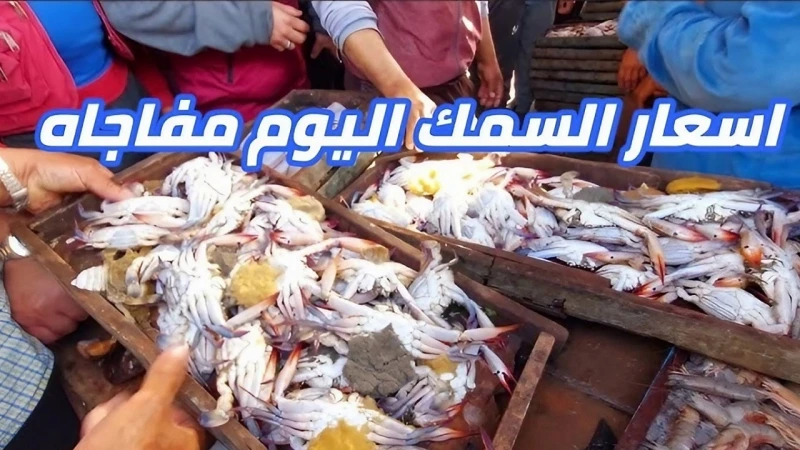 أسعار الجمبري والسمك بجميع أنواعه اليوم الخميس 5 سبتمبر 2024تشهد أسعار الأسماك والجمبري اليوم الخميس 5 سبتمبر 2024 تباينا ملحوظا في سوق السمك، حيث سجلت بعض أنواع السمك ارتفاع بسيط 