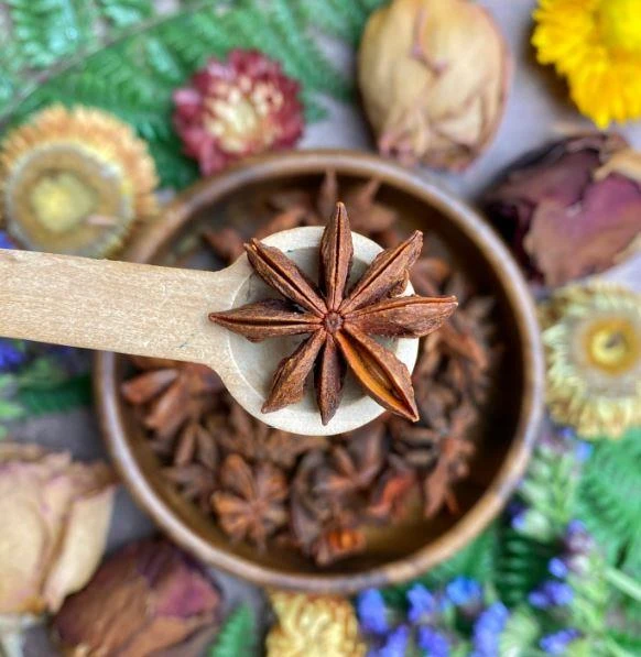 اليانسون النجمي.. الحل الطبيعي لتعزيز المناعة وصحة الجهاز الهضمي متفرقات يعتبر اليانسون النجمي من الأعشاب الطبيعية التي تقدم العديد من الفوائد الصحية