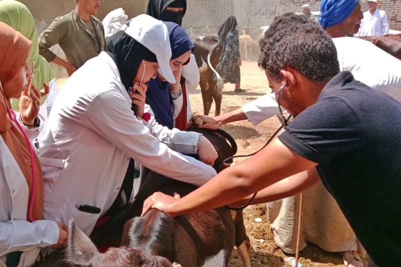 بداية جديدة.. إطلاق أول قافلة بيئية متكاملة لقرية بلنصورة في المنيا أطلق قطاع خدمة المجتمع وتنمية البيئة بجامعة المنيا اليوم الثلاثاء، القافلة