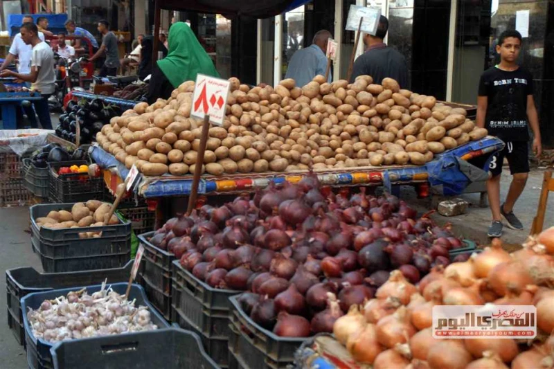 سعر الطماطم والبصل والخضار بالأسواق اليوم الجمعة 13 سبتمبر 2024 يبحث عدد كبير من المواطنين عن أسعار الخضروات في الأسواق اليوم الجمعة 13 سبتمبر 2024 لشراء احتياجاتهم الضرورية في ختا