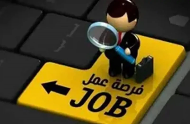 فرص عمل حكومية متاحة بوزارة النقل طالع التفاصيل والحق سجل الآنفرص عمل حكومية متاحة بوزارة النقل طالع التفاصيل والحق سجل الآن.. أعلنت بوابة الوظائف