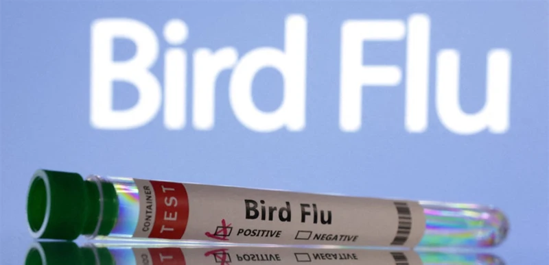 أول إصابة بشرية بإنفلونزا الطيور في اميركا.. هل تعرضت لحيوان مريض؟ صحة أعلنت مراكز السيطرة على الأمراض والوقاية منها، إصابة شخص في ولاية ميسوري