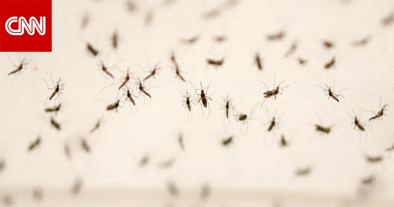 فترة انتشار الحشرات الناقلة للأمراض.. احذر مخاطر نهاية فصل الصيف تكنولوجيا يمكن أن تسبب موجات الحر في أواخر موسم الصيف الخطورة ذاتها لموجات الحر في