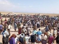 عاجل : محافظة أبين على موعد مع أكبر حدث جنوبي وهذا ما يحدث الآن (تفاصيل) _الأخبار المحلية الجديد برس استكملت اللجنة التحضيرية الترتيبات لتنظيم