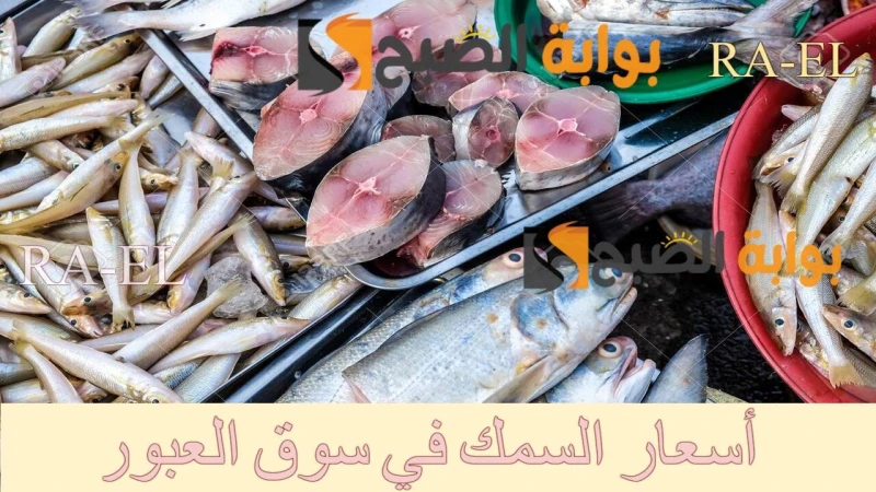 زيادة جديدة في أسعار السمك بسوق العبور اليوم الإثنين 2392024 للجملة في القاهرةأسعار السمك بسوق العبور اليوم تزايد البحث عنها في الآونة الأخيرة من قبل العديد من المواطنين، وهذا لأنه