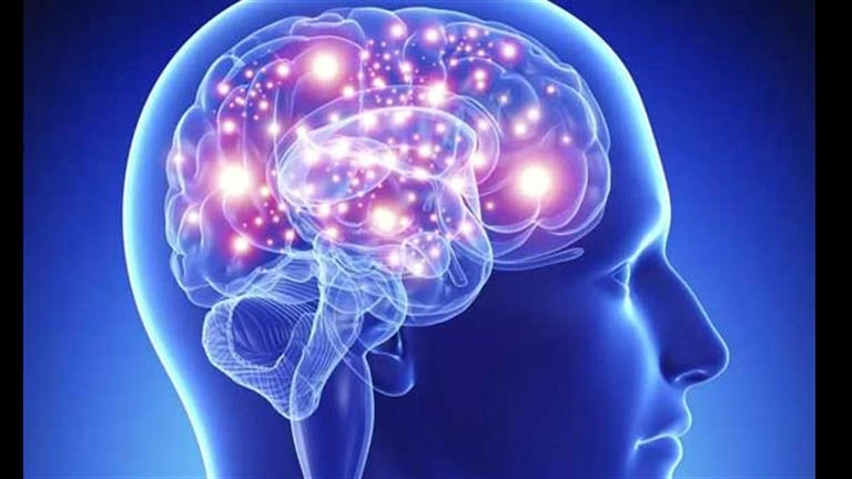 تدمر دماغك.. أنواع أطعمة ومشروبات تضعف الذاكرة وتؤثر على المخ لايف ستايل كتب - سيد متولي تؤثر بعض الأطعمة والمشروبات على الذاكرة والمخ بشكل سلبي، لذا