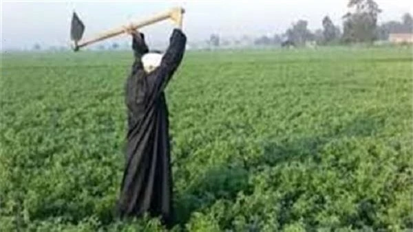 فى عيد الفلاح.. ماذا قدمت الدولة للمزارعين خلال السنوات الأخيرة؟يحل عيد الفلاح يوم التاسع من سبتمبر كل عام والذى يعد مناسبة سنوية لتقدير الدور المهم