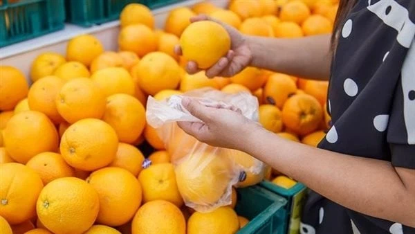 البرتقال مش لعلاج البرد فقط .. فوائد صحية مذهلة لا تفوتكيعتبر البرتقال من الفواكة الغنية بفيتامين سى، وهو ما يميزه بالعديد من الفوائد، ومن أبرزها الوقاية من الامراض التي يقوم بدوره