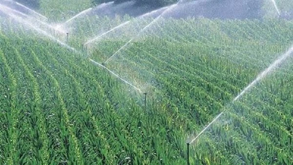 سويلم يوجه بدعم المزارعين الراغبين فى التحول للرى الحديث بزمام ٤٠ فدانقام الدكتور هانى سويلم وزير الموارد المائية والرى اليوم الجمعة بزيارة لمحافظة