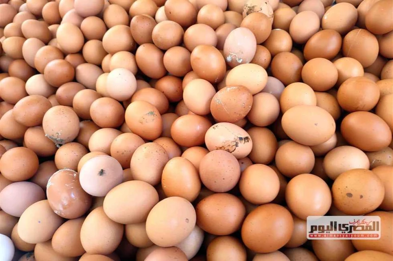 القصة الكاملة لإحالة 21 من منتجي البيض إلى النيابة بتهمة التلاعب في الأسعار (فيديو) علق أحمد نبيل عبدالله، رئيس شعبة بيض المائدة بالاتحاد العام لمنتجي الدواجن، على قرار جهاز حماية 