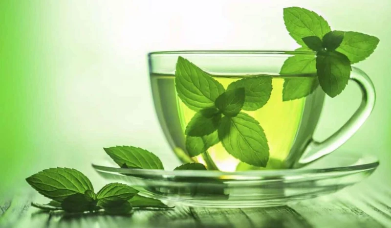 فوائد النعناع المغلي.. من تحسين الهضم إلى تعزيز الصحة العامةالنعناع هو نبات عشبي ينتمي إلى عائلة الشفوية، ويستخدم منذ قرون في الطب التقليدي لأغراض متنوعة. عند غليه، يصبح النعناع أك