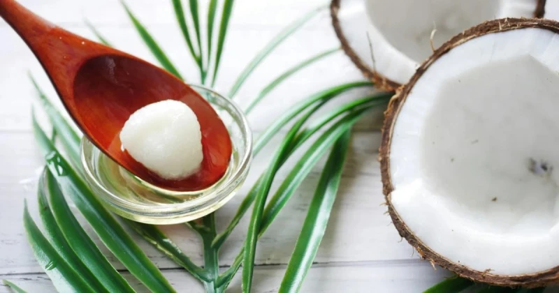 زيت جوز الهند يغذي البشرة ويرطبها...إعتمدوا عليه تعرف على التالي زيت جوز الهند يغذي البشرة ويرطبها...إعتمدوا عليه، زيت جوز الهند يغذي البشرة ويرطبها