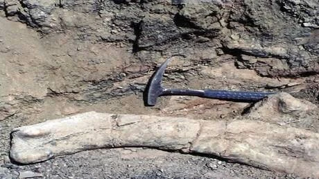 ..قرغيزستان.. العثور على بقايا ديناصور كبير غير معروف سابقا..تفاصيل تتابع الان تفاصيل ما ورد عن قرغيزستان.. العثور على بقايا ديناصور كبير غير معروف