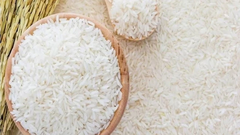 الطن بكام النهاردة؟.. أسعار الأرز الشعير والأبيض اليومواصل سعر الأرز استقراره على مدار الفترة الجارية، خاصة مع زيادة البحث الكبير من قبل المواطنين