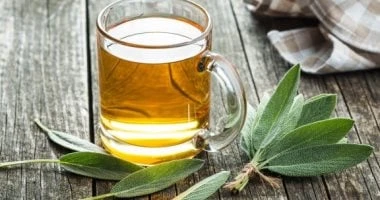 لو شعرك جاف.. اعرفى فوائد المريمية وكيفية استخدامها فى العناية بالشعر المرأة والمنوعات تعاني الفتيات من جفاف الشعر بشكل خاص خلال فصل الصيف نتيجة ارتفاع درجات الحرارة والتعرض المباش