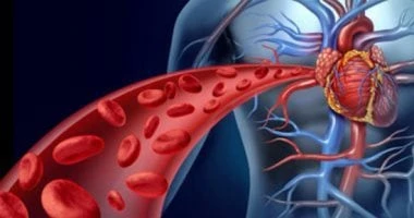 نقص الحديد في الجسم.. 10 أطعمة ترفع مستوياته في الدم صحة وطب الحديد هو أحد المكونات الرئيسية للهيموجلوبين المعدن الأساسي للجسم، مما يعزز الأكسجين