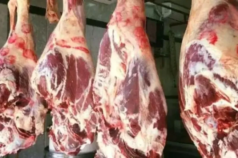 انخفاض أسعار اللحوم والدقيق والزيت اليوم الاثنين بالأسواق (موقع رسمي) تراجعت أسعار الدقيق، والزيت، المكرونة، واللحوم، والدواجن، والمسلي الصناعي خلال تعاملات اليوم الاثنين مقارنة بأ