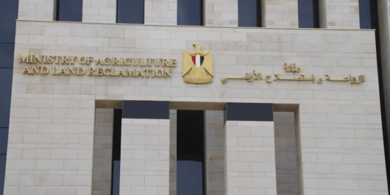 وزارة الزراعة: الفوسفيت يساعد النبات على التكيف مع درجات الحرارة العالية ناس وخدمات قال الدكتور محمد على فهيم، رئيس مركز معلومات تغير المناخ بوزارة