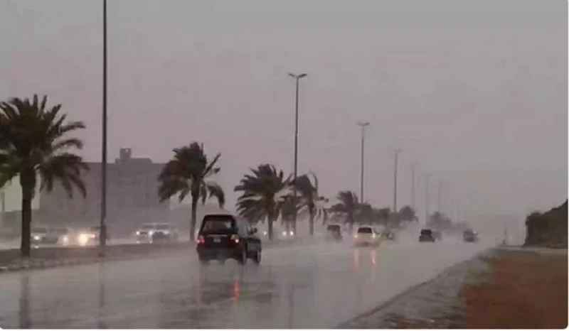 نصائح هامة من المرور السعودي لقيادة آمنة خلال هطول الأمطارأصدرت منذ قليل الإدارة العامة للمرور السعودي بيان هام، أكدت من خلاله على ضرورة اتباع قواعد القيادة والالتزام بالتعليمات وا