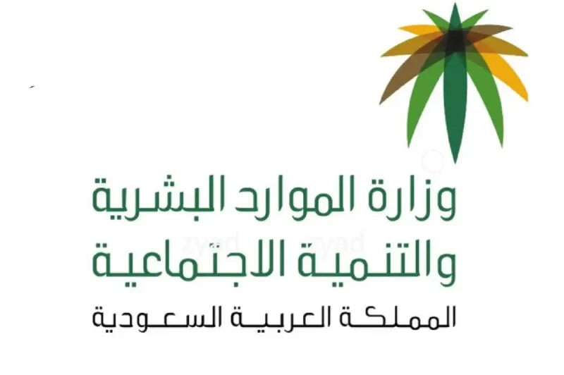 تدريب منتهي بالتوظيف لمستفيدي الضمان الاجتماعي 2024.. وزارة الموارد البشرية تبشر كلا الجنسين طالع التفاصيلأعلنت وزارة الموارد عن تدريب منتهي بالتوظيف