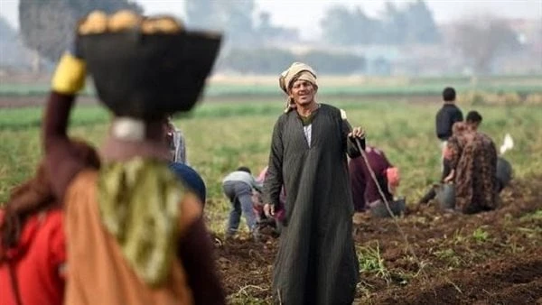 يوم الفلاح المصري.. كيف نظر الإسلام إليه وأعد له من الثواب العظيماعتبر الإسلام زراعة الأرض من تعمير الكون ونفع الخلق وحسن استثمار النعم وجعلها من