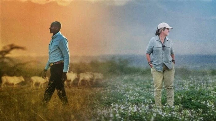 مهرجان الجونة يخصص 20 ألف دولار لأفضل فيلم يهتم بالقضايا الإنسانيةخصص مهرجان الجونة السينمائي جائزة نجمة الجونة وشهادة و20 ألف دولار، لأفضل فيلم يعنى