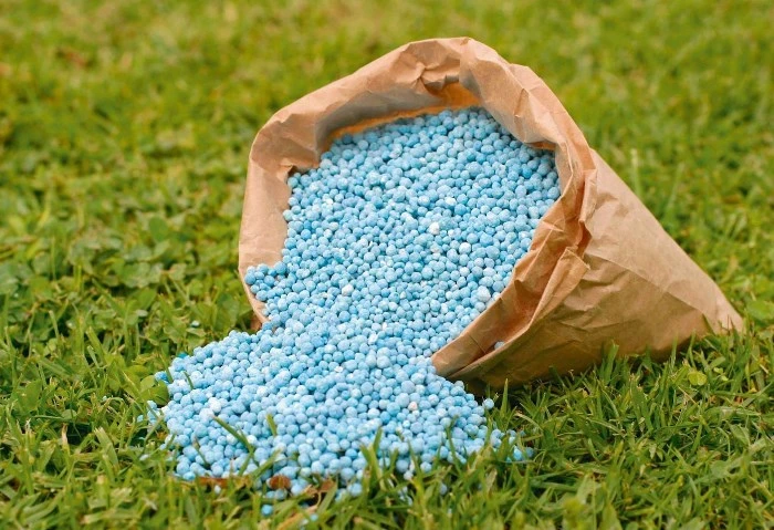 نقيب الفلاحين يكشف تفاصيل جديدة عن أزمة الأسمدة الفترة الماضية كشف حسين أبو صدام، نقيب الفلاحين، عن تفاصيل جديدة بشأن أزمة الأسمدة خلال الفترة