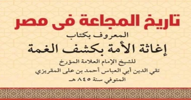 متابعة أيمن بحر ملخص تاريخ المجاعات فى مصر سجل قدماء المصريين جميع الأحداث فى عصورهم حتى يستفيد منها الأجيال التالية يوجد للوح تم اكتشافه في منطقة شاطئ الجزيرة فى الصعيد يتحدث عن م