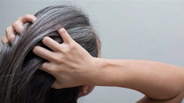 تفسير الشعر الابيض في الحلم للعزباءإن الشيب والشعر الأبيض في المنام يعتبر من الرؤي التي لها الكثير من المعاني والرموز وقد تكون متناقضة حسب السياق