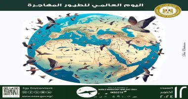كتبأيمن بحر تشارك وزارة البيئة دول العالم الإحتفال باليوم العالمى للطيور المهاجرة الذى يسلط الضوء هذا العام على العلاقة بين الطيور والحشرات في حفظ توازن النظام البيئى لما للحشرات م