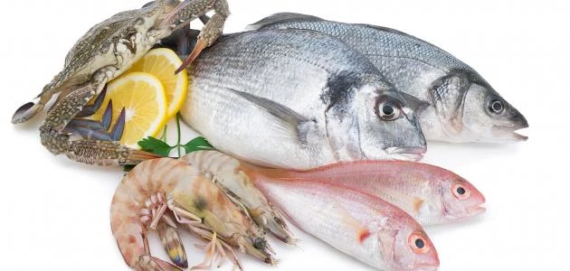 تفسير حلم سمك ميت في المنامهناك العديد من الاحلام التي تعتبر موترة أو لها دلالات أو آثار غير مريحة في نفس كل شخص يراها في منامه وإن كان هناك أحلام ليس لها تفسير وحتى الاحلام التي ل