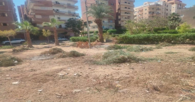 كتبت أمل عبد الرحيم استكمالا لمبادرة السيد رئيس الجمهورية ١٠٠ مليون شجرة، وضمن مبادرة النظافة العامة والتجميل بمحافظة الإسماعيلية الإسماعيلية تستاهل،