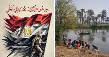 محمد عباس أقر الشاعر والكاتب سكرتير نادي الادب المركزى بالإسماعيلية بأنه مستقيل استقالة مسببة نظرا للاسباب العديدة ومن ابرزها : تهميش دور الأدب