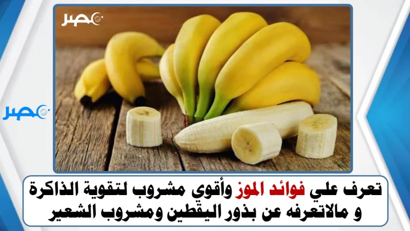 تعرف علي فوائد الموز وأقوي مشروب لتقوية الذاكرة و مالاتعرفه عن بذور اليقطين ومشروب الشعيربسبب ارتفاع أسعار الأدوية وعدم توافر الكثير منها في الصيدليات، سنحاول جاهدين تقديم بدائل طب