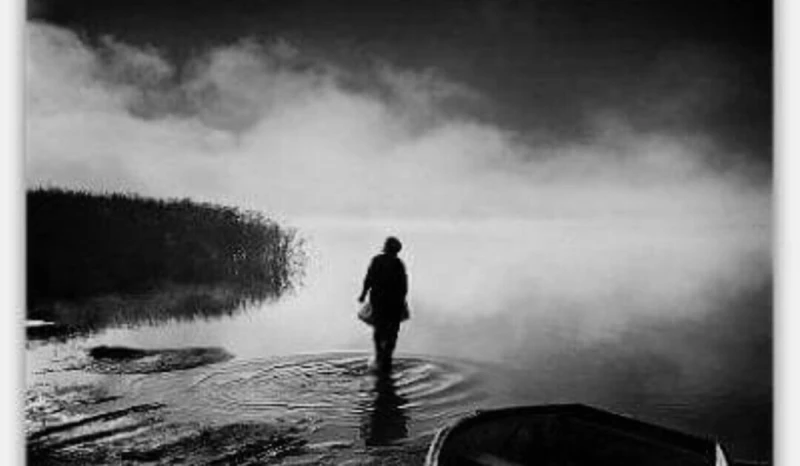 رواية ضائعة في قلب ميت كامله ( جميع الفصول ) رواية ضائعة في قلب ميت كامله ( جميع الفصول ) رواية ضائعة في قلب ميت من اكثر الروايات انتشارا علي المواقع الالكترونية واكثر الروايات بحث