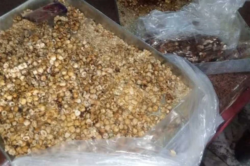 ضبط 480 كيلو أغذية فاسدة بأسواق دمياط شنت إدارة مراقبة الأغذية بمديرية الصحة في دمياط، حملة استهدفت أماكن بيع وتصنيع المنتجات الغذائية، وذلك في إطار خطة مديرية الصحة بتوفير غذاء آم