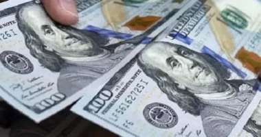 متابعة أيمن بحر بعد تثبيت الفائدة مصر تطرح أدوات دين حكومى ب1.3 مليار دولار يطرح البنك المركزى المصري الأسبوع المقبل أدوات دين حكومى تشمل أذون وسندات