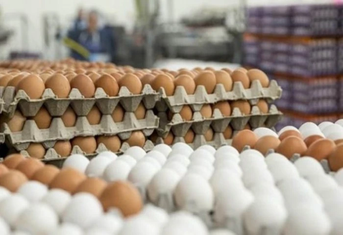 سعر كرتونة البيض يهبط 11 جنيها، والدقهلية تعرضها ب 150جنيه سعر كرتونة البيض في السوق المصرية، سجلت تراجعا خلال تعاملات يومي الأحد والأثنين الموافقين