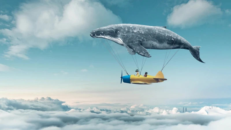 أنواع الأحلام.. ما هي اكثر الاحلام شيوعا؟تعد الأحلام من أكثر الأشياء التي يحب أن يهتم بها الكثير من الأشخاص بسبب أنهم يعتقدون أن هذا الحلم من الممكن