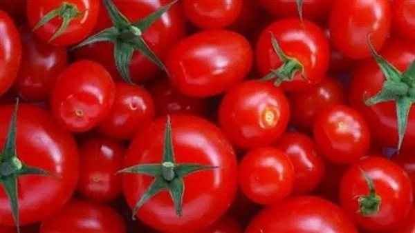 شائعات من التجار.. حقيقة انتشار طماطم فاسدة بالأسواق الزراعة توضح انتشر اليوم على مواقع التواصل الاجتماعي مقطع صوتى مدرج تحته صورة ل الطماطم التي تحتوي على ثقوب كما وصف المقطع تلك