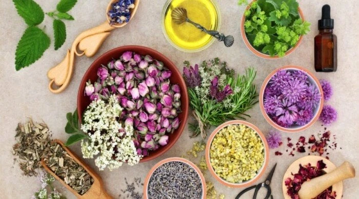 فقر الدم.. أعشاب طبيعية لزيادة نسبة الحديدفقر الدم.. يعاني الكثير من الأشخاص من مرض فقر الدم الناتج عن نقص نسبة الحديد في الدم، هذا ما يدفعهم للبحث