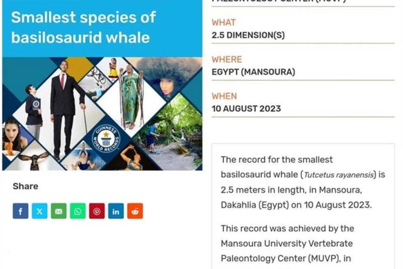 جامعة المنصورة بموسوعة جينيس لأول مرة في تاريخها .. لهذا السبب لأول مرة في تاريخ جامعة المنصورة، تم إدراج مركز الجامعة للحفريات الفقارية في موسوعة جينيس للأرقام القياسية، وحقق المر