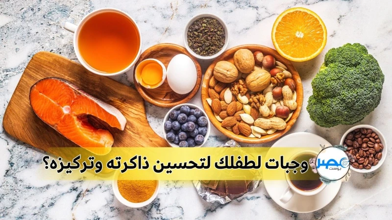 قبل المدارس هذه الخطوات تعزز ذاكرة طفلك وتشحذها للمذاكرةأتساءل ما الأطعمة التي تقوي ذاكرة طفلك؟ بالطبع، كل أم تريد الأفضل لطفلها. دعونا نتعرف على الأطعمة التي تساعد في تحسين وتقوية