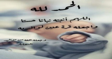 كتب سيد زعزوع جريدة آخر الأسبوع تهنيء الاستاذ احمد زعزوع بالمولود الجديد يوسف يتقدم مجلس إدارة جريدة آخر الأسبوع بقيادة الإعلامي الكبير عادل عيسى رئيس مجلس الإدارة والإعلامي ممدوح 