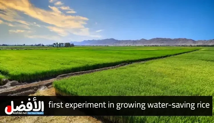 - - احصل على تحديثات في الوقت الفعلي مباشرة على جهازك ، اشترك الآن.الاشتراك , 22, 2024, - , . قائمة المحتويات . , , , 22. . , , , , . - : , . . , , -